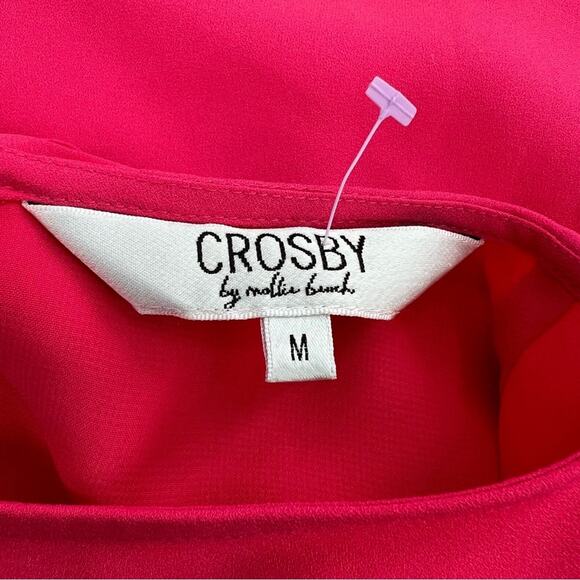 Crosby by Mollie Bunch posey ruffle dress flounce sz M pink - Picture 3 of 6